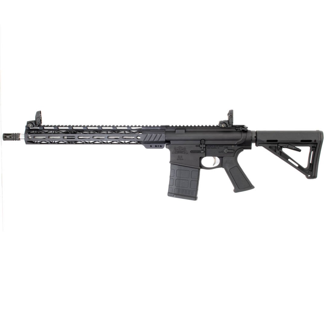 Palmetto State Armory G3-10